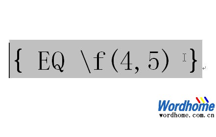 在Word2003中使用EQ域输入数学公式1