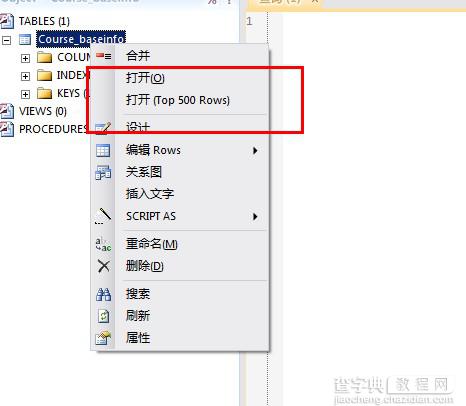 Database.NET强大的数据库查询管理工具使用图文教程8