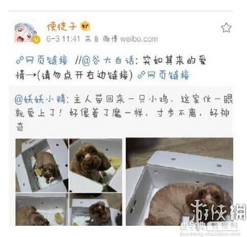 盘点网络上盛传的