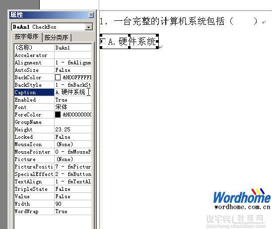 在Word2003中使用Word4