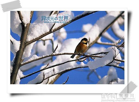 菜鸟也能当PS高手！PhotoWorks为你的图片添加漂亮的边框（教程+下载）1