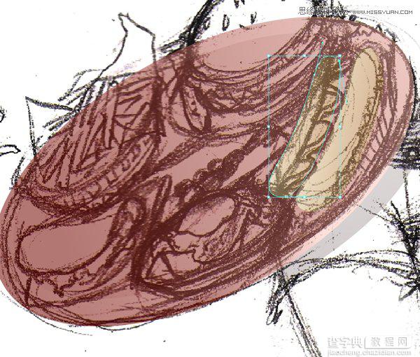 Illustrator绘制70年代性感激情的服务员端盘子的插画54