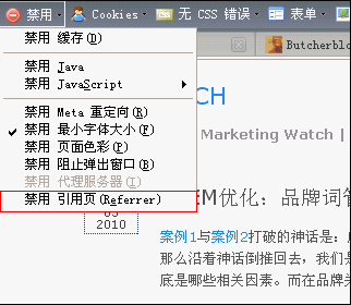 Web Developer工具栏发现SEO问题4