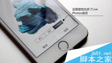 iphone6s/Plus动态锁屏壁纸制作教程  iPhone6s/Plus自制live photo动态锁屏壁纸导入图1