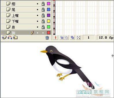 Flash教程：绘制喜鹊和红梅动画13