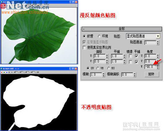 3damx再现童年记忆中庭院中美丽清新紫色牵牛花13