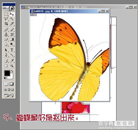 Photoshop为MM数码照片做花落花开签名11