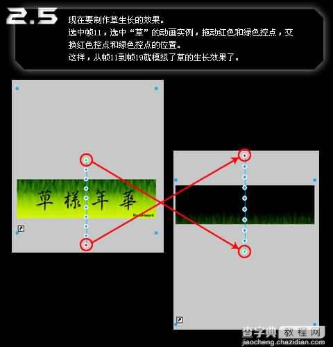 Fireworks制作草生草长之草样年华gif动画—纪念大学四年时光12