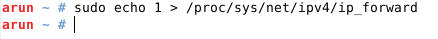 在Linux系统上实现IP转发的方法1