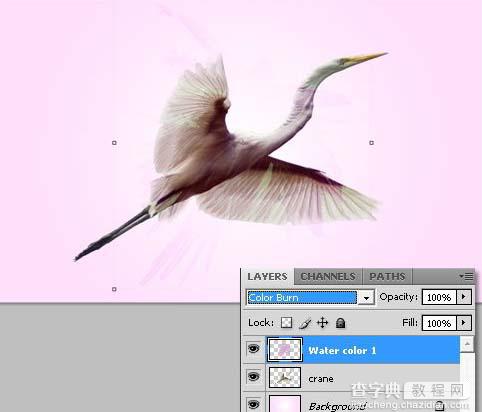 photoshop 利用素材制作漂亮的紫色水彩画6