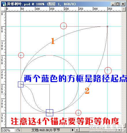 Photoshop 叶形的画法及延伸7