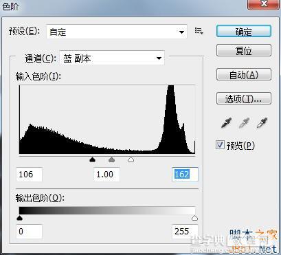 photoshop利用通道给繁密的树枝抠图教程5