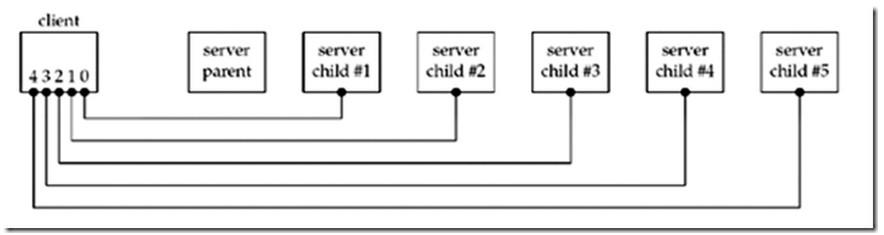 Linux网络编程wait()和waitpid()的讲解1