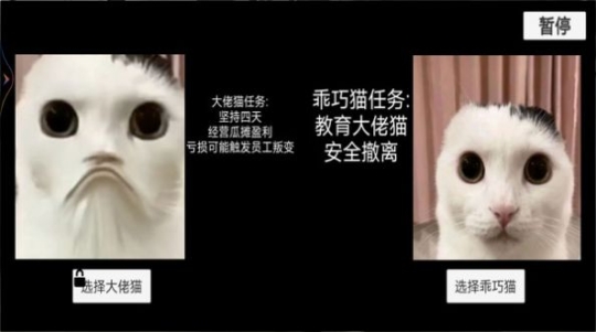 猫猫惊魂夜手机版截图1